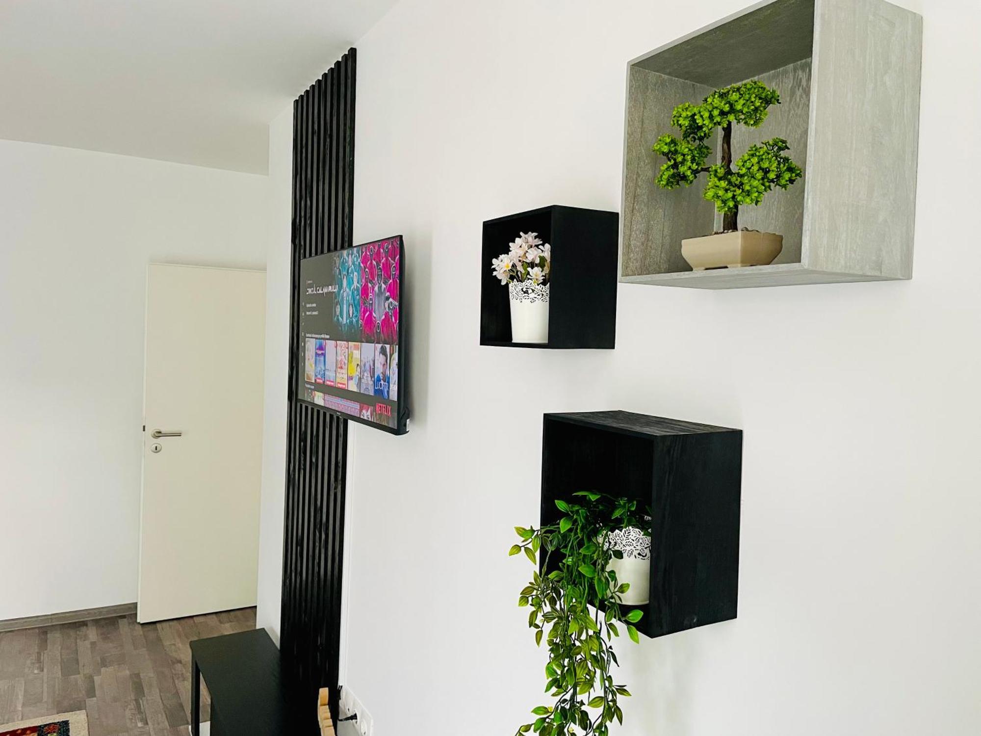 Montsee Brasov Apartman Kültér fotó