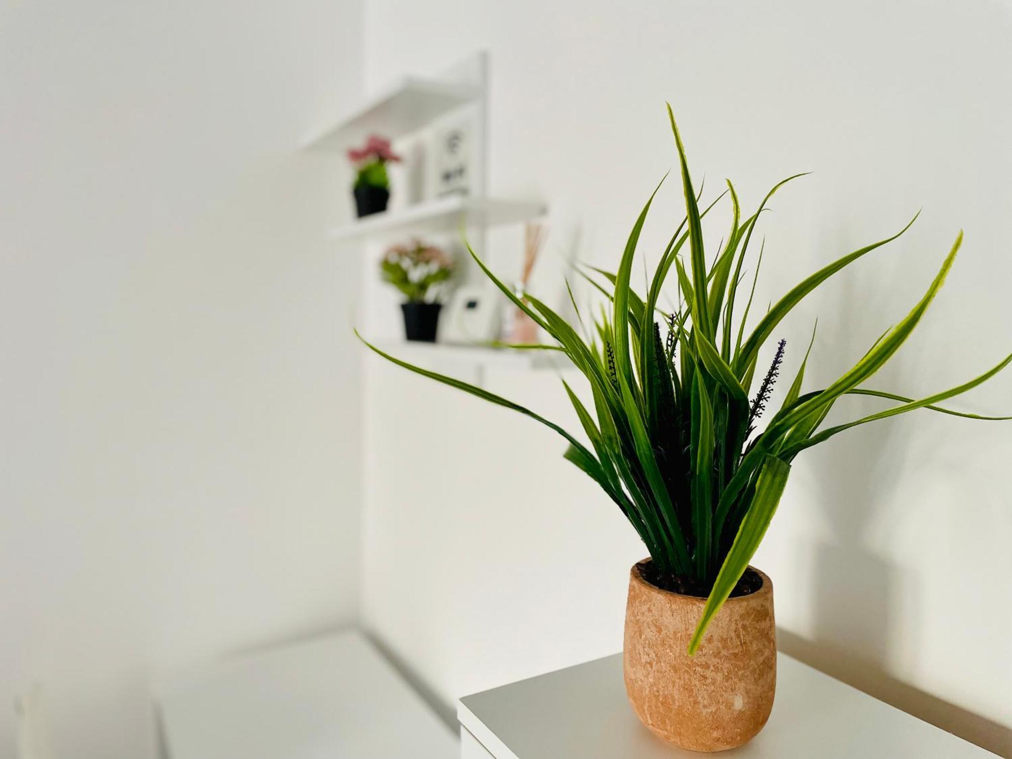 Montsee Brasov Apartman Kültér fotó